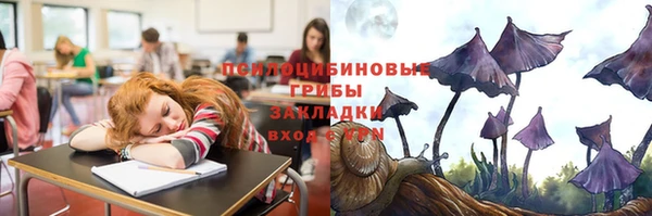 дмт Алзамай