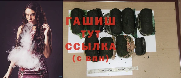 крисы Ельня