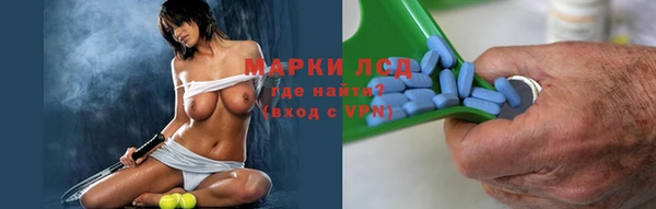 дмт Алзамай