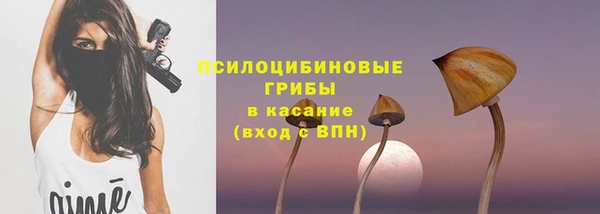 дмт Алзамай