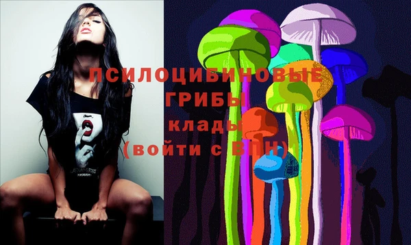 дмт Алзамай